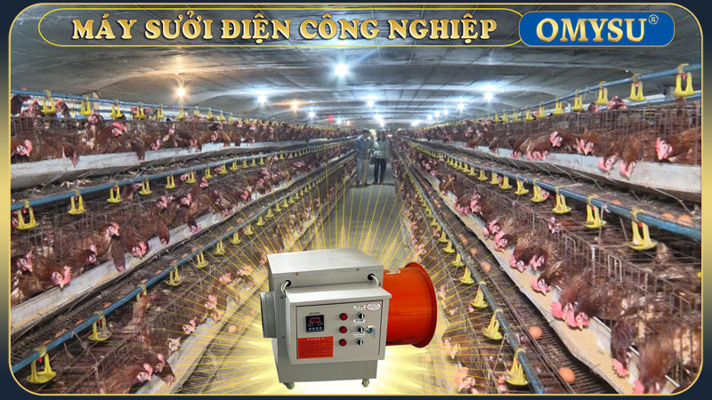 Máy sưởi điện 20KW – sử dụng sưởi ấm trong trang trại chăn nuôi